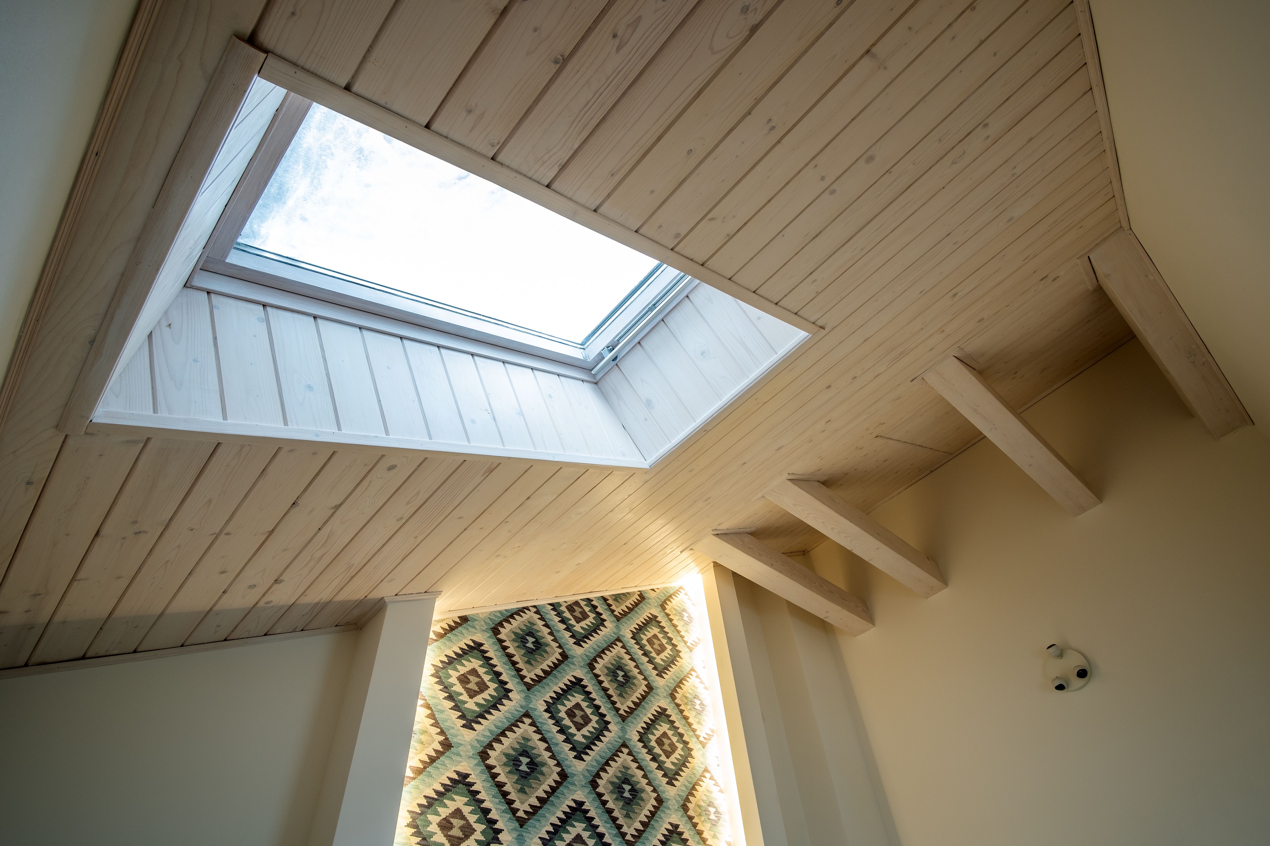 desain fixed skylight.jpg