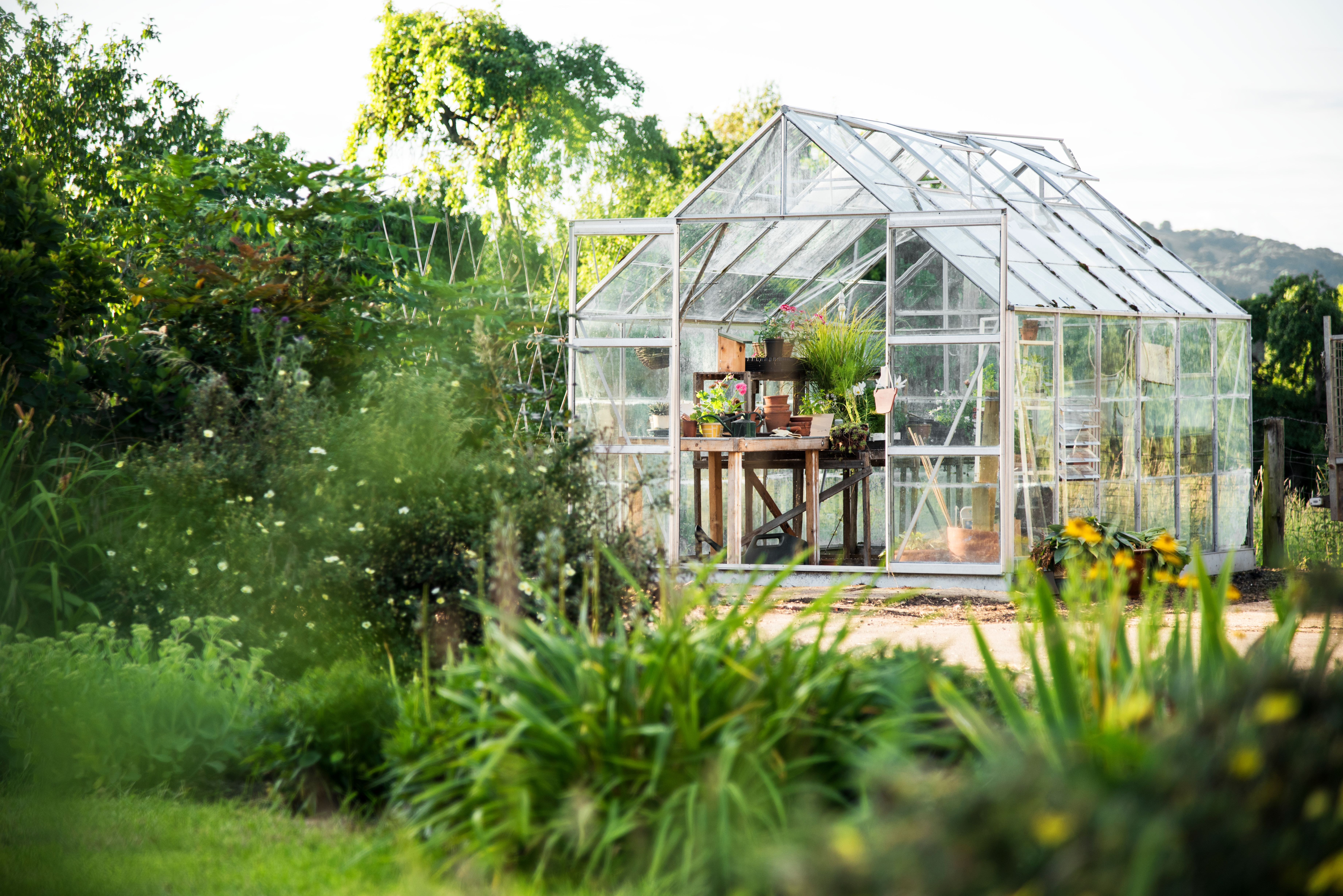 glass-greenhouse.jpg