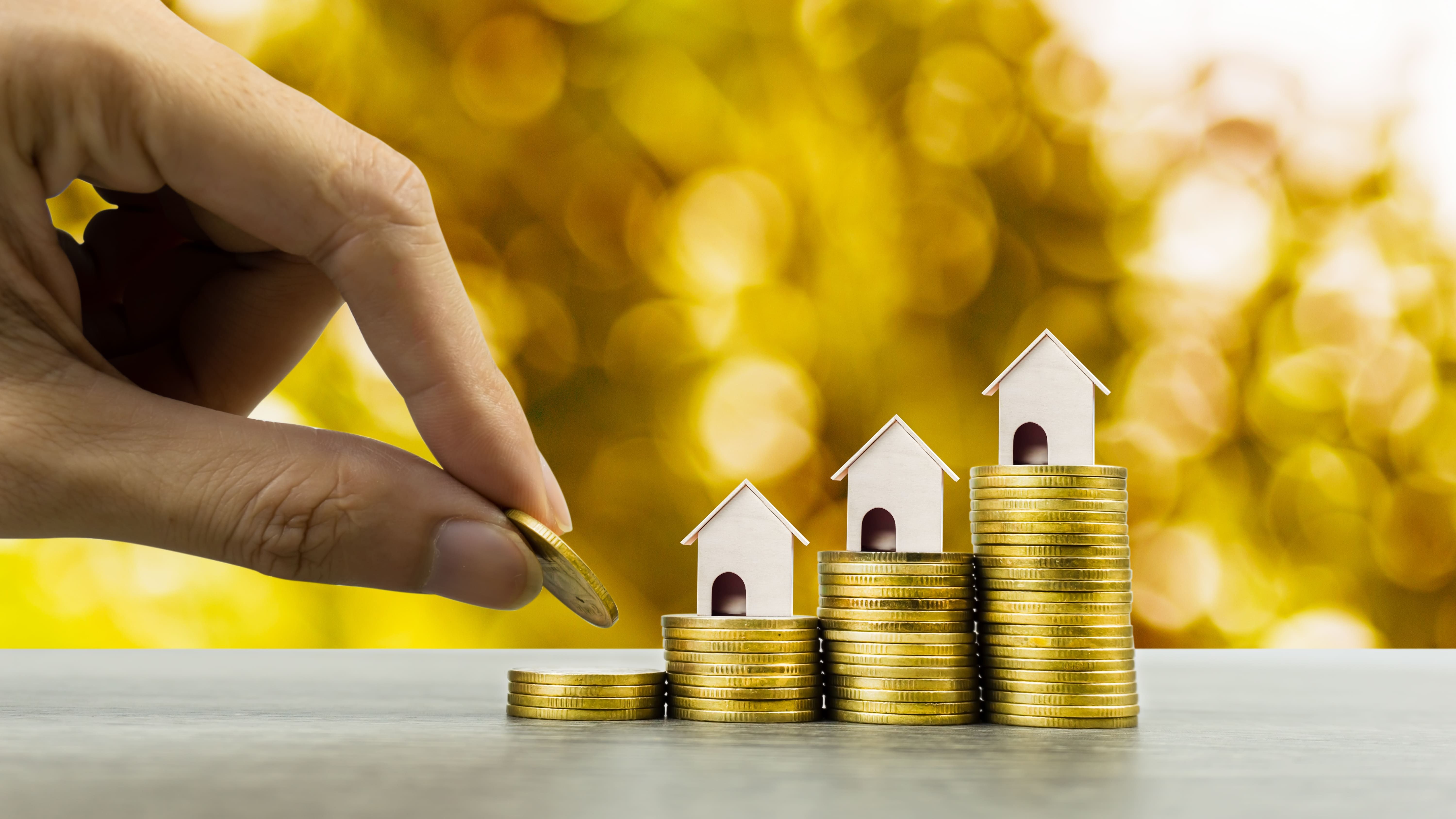 property-investment-concept-2024-12-02-10-28-07-utc (1).jpg