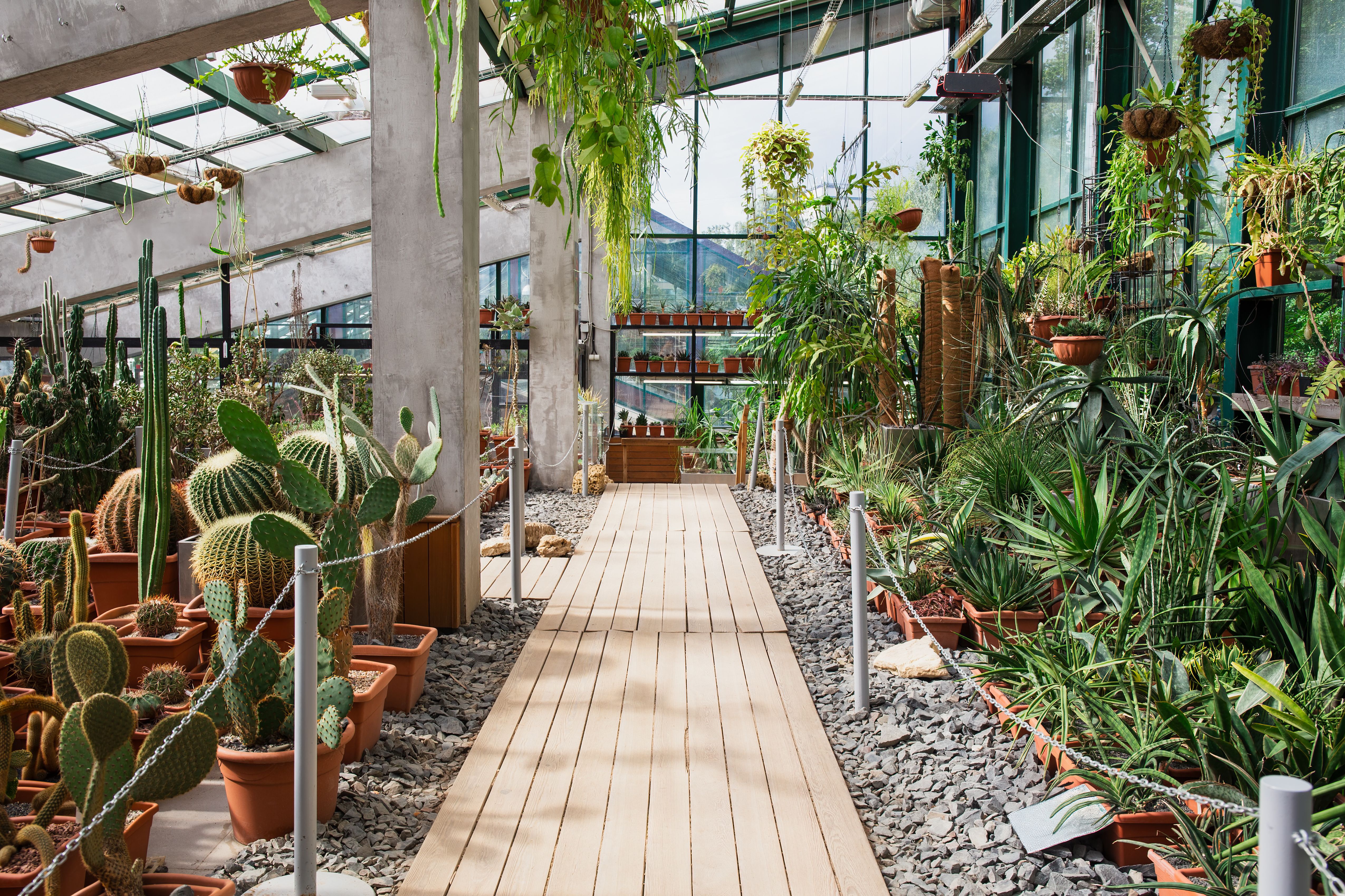 skygarden.jpg